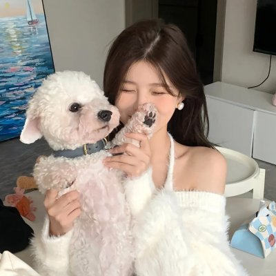 好莱坞真情告白